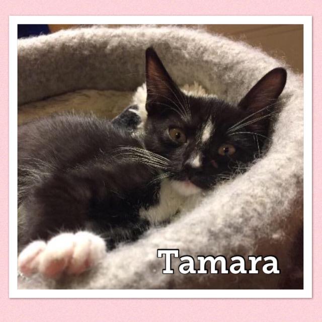 tamara0919.jpg